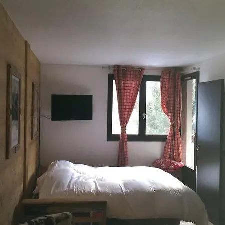Appartement, Centre Ville, Vue Mont-blanc Chamonix