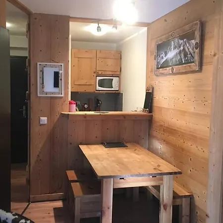公寓 Appartement, Centre Ville, Vue Mont-blanc 霞慕尼